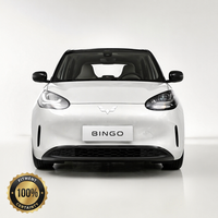 Wuling Bingo EV OE 24340658 Nouveau Phare Gauche Original Assemblage de Lampe Avant 6000K Pièces de Rechange d'Éclairage Automobile