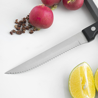 Ensemble de 4 couteaux à steak dentelés ultra tranchants et ne nécessitant jamais d'affûtage avec manche en POM