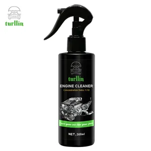Hot Selling OEM Factory Price Professional Car Cleaner Car Engine Cleaner Liquid 300ML Engine Surface Cleaning Agent Remove dust