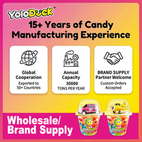 Yoloduck Groothandel Zure Gummy Candy 6 Mini Pakjes Speelgoedauto's Multi Fruit Halal Gummy Candy Groothandel