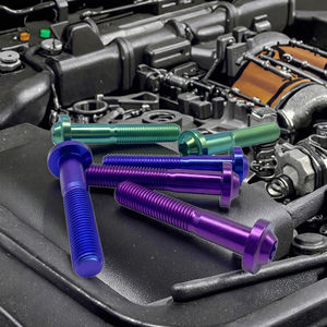 NICE T-101 <span class=keywords><strong>Titanium</strong></span> Legering Schroeven Moeren voor AUTO ATV UTV Motorfietsen Grote Kop Schijfkop Binnen Torx M4-M10 Op Maat - Product Image 3