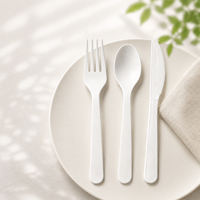 Ensemble de couverts jetables résistants à la chaleur en CPLA compostable, fourchette, couteau, cuillère, 6 pouces, blanc, logo personnalisé, vente en gros
