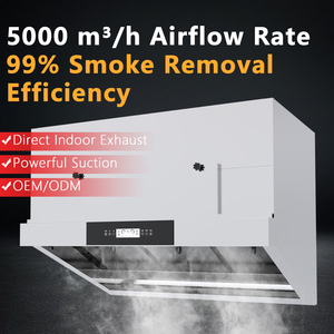 Hotte aspirante commerciale sans conduit en acier inoxydable avec filtre à graisse, sans ventilation, pour friteuse KL-D-N16, hotte de cuisson sans conduit KL-D-N16 K - Product Image 1
