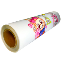Film Transfer Suhu Tinggi TIS DTF Roll 60cm Dua Sisi Hot Peel untuk Printer Inkjet DTF untuk Pencetakan Pakaian