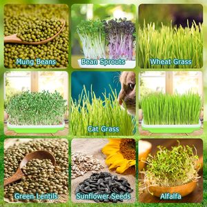Bandeja de germinación X80 para brotes de judías, plántulas de trigo, hierba para gatos, cultivo hidropónico sin suelo - Product Image 5