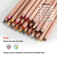 KALOUR-Lápiz de color profesional, tintes suaves de piel de carbón en colores pastel, estuche de hojalata para dibujar y dibujar con colores vivos, 24 unidades