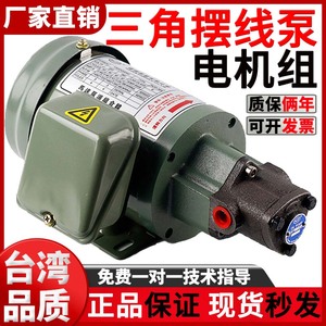 Triangular Cycloidal Pump Motor 220V Oil Gear Pump TOP 12A Machine Tool Lubrication - Product Image 5