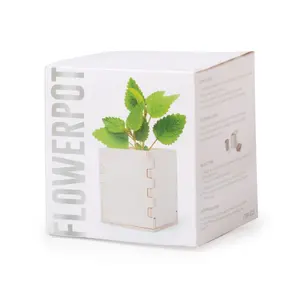 Vase avec plante de menthe, gadgets écologiques - Product Image 1