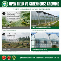 Serre en film multi-chapelles sur mesure avec structure en acier galvanisé à chaud et ventilation latérale/supérieure pour la culture à grande échelle de légumes et de fruits