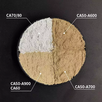 Ciment réfractaire d'aluminates de calcium pur CA 50 CA 70 CA 80 ciment à haute teneur en aluminate pour le moulage