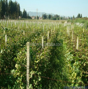 Nueva Máquina Extrusora <span class=keywords><strong>de</strong></span> Pilares y Vigas <span class=keywords><strong>de</strong></span> <span class=keywords><strong>Hormigón</strong></span> <span class=keywords><strong>Pretensado</strong></span> Semiautomática Vicrory en Venta - Product Image 3