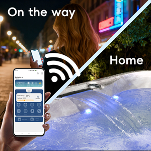 Vasca Idromassaggio da Esterno, Spa di Lusso, Piscina Spa per 8, 9, 10 Persone - Product Image 5