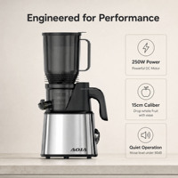 Extracteur de jus à froid à haut rendement, moteur DC 250W 60 tr/min, goulotte large de 15 cm, couvercle en maille d'acier inoxydable, extracteur de jus et de pulpe sèche