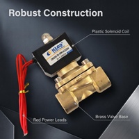 Vanne Solénoïde d'Eau 2W200-20 3/4" Laiton NC AC220V 0-1MPa Fabricant OEM ISO9000 Tension Personnalisée Eau Huile Air