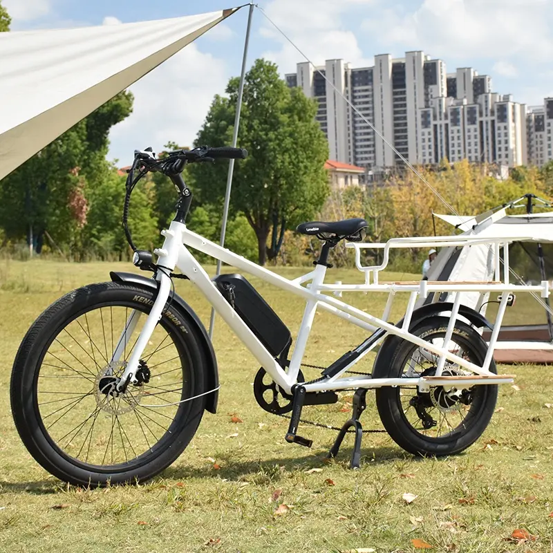 전기 유틸리티 자전거 장거리 듀얼 배터리 전기화물 자전거 다면화물 ebike UL2271 전자 자전거 배터리 인증