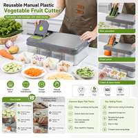 Op maat gemaakte logo plastic groente- en fruitsnijder OEM ODM keukengereedschap