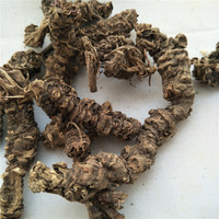 Xie Cao Gen Bulk Tisane de racine de valériane séchée aux herbes chinoises Thé de racine de valériane