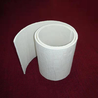 Ruban en feutre Nano Aerogel d'isolation thermique ignifuge antichoc pour les bâtiments de pipelines de voitures à énergie nouvelle