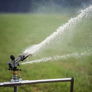 Landwirtschaft liche Schlauchaufroller-Irrigator-Maschine Mobiles Regenpistolen-Bewässerungs system