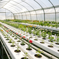 Système d'hydroponie NFT pour l'agriculture, culture en tubes PVC, serre personnalisée, système NFT, tuyau carré