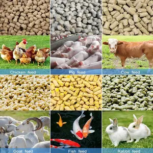 MACREAT landwirtschaftliche kleine Pelletmühle Haustier Rinder Hühner Geflügel Tiernahrungsmittelpelletherstellung Futterverarbeitungsmaschine für Geflügel