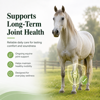 Service OEM/ODM : Supplément de Glucosamine pour Chevaux 5000, Poudre 16 Oz, Soutien pour la Santé des Hanches et des Articulations des Chevaux