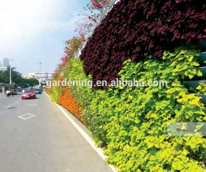 Macetas verticales decorativas de interior con SL-XQ3319 de <span class=keywords><strong>pared</strong></span> verde para jardín - Product Image 4
