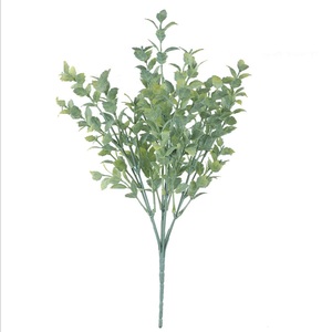 Vente Flash 2026 : Décoration de Mariage et d'Intérieur <span class=keywords><strong>en</strong></span> Eucalyptus de Qualité Supérieure - Product Image 1