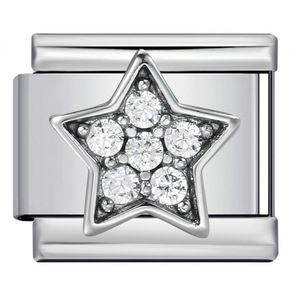 Charm 3D in Acciaio Inossidabile Bicolore con Cristalli e Strass, Forme Italiane: Cuore, Elefante, Stella, Ala, Zampa, 9mm, per <span class=keywords><strong>Bracciali</strong></span> Nomination - Product Image 4