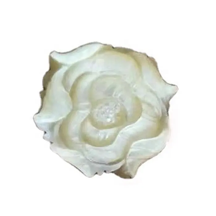 Shell rose flower beads for women jewelry/Hot sale carved white all Is 100% natural