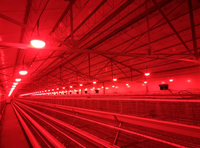 Ampoule LED pour poulailler, lumière pour volailles, rouge et blanc commutable, étanche IP67, garantie 5 ans