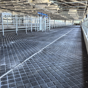 <span class=keywords><strong>Tapis</strong></span> de <span class=keywords><strong>sol</strong></span> pour chevaux et vaches laitières de 15 mm à 25 mm, feuilles de caoutchouc durables pour l'écurie et le <span class=keywords><strong>sol</strong></span> du hangar - Product Image 1
