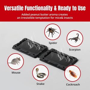 Trampas Adhesivas Fáciles de Instalar para Ratones e Insectos <span class=keywords><strong>con</strong></span> Pegamento No Tóxico para Ratones Pequeños e Insectos. Trampas Adhesivas para Ratones de Interior - Product Image 4