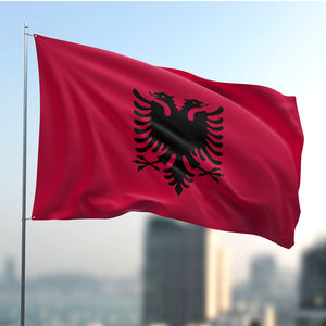 批发阿尔巴尼亚定制户外旗帜3X5Ft和2X3Ft尺寸个性化大旗，带标志设计 - Product Image 2