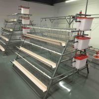 Cage à poules pondeuses de type A à grande échelle, équipement de cage en batterie pour l'élevage commercial de poulets pondeurs