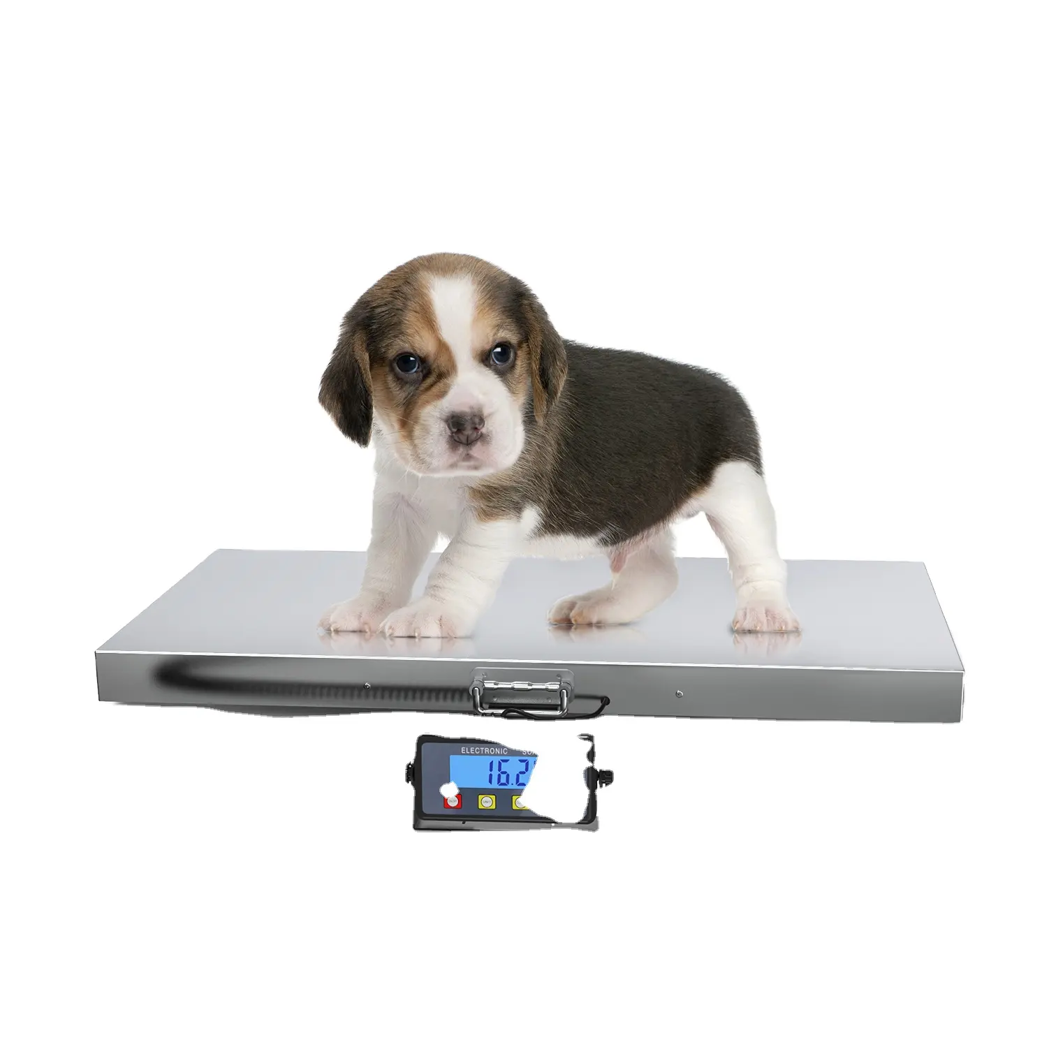 SF-809A 1100lbs Heavy Duty Digital Platform Scale with Power Adapter for Vet Animal Pet Cat Dog Cattle