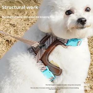 Anti-ontsnappings verstelbare sportwandelharnas en riem voor kleine honden, buitensportartikelen model - Product Image 6