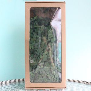 Vraies feuilles d'<span class=keywords><strong>eucalyptus</strong></span> séchées en vrac pour bougie d'aromathérapie bricolage décor à la maison coffret cadeau parfumé naturel - Product Image 4