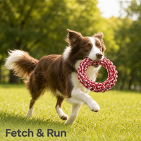 Anneau de jeu pour chien en corde de coton tressée, durable, pour tirailler et mâcher, jouet de dentition pour animaux de compagnie, usage quotidien