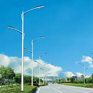 Tiang Lampu Jalan Disesuaikan Jalan Klasik Oem 6M 8M 10M 12M 15M dengan Desain Kustom