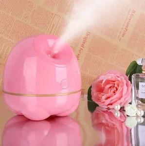 Facial Steamer Nano Ionic Face Steamer with Design for Home Facial Warm Mist Humidifier Atomizer