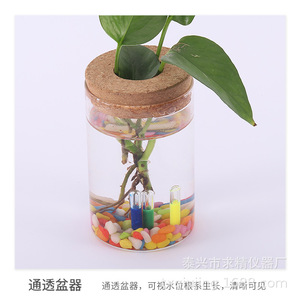 Glass Hydroponic Planter With Bamboo Base And Wooden Stopper For Desktop Green Plant Decoration - Product Image 3