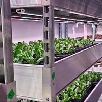 Smart NFT Farms Conteneur d'agriculture d'expédition hydroponique verticale Système hydroponique NFT