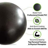 Ballon de yoga et de Pilates en PVC écologique 20/25 cm, équipement d'exercice avec logo