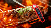 Pabrik SW Menjual Termometer Daging Digital untuk Dapur dengan Probe Lipat -50~400 ℃   /-58~752 ℉   Termometer Makanan Tahan Air dengan Layar LCD