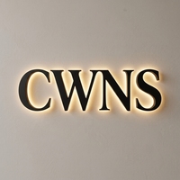 Enseigne rétroéclairée personnalisée, lettres en relief LED, enseigne en lettres 3D, acrylique, acier inoxydable, enseigne électronique éclairée par LED