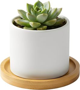 1 pièce <span class=keywords><strong>de</strong></span> sous-verres <span class=keywords><strong>en</strong></span> bambou, 3,7 pouces <span class=keywords><strong>de</strong></span> diamètre, 0,4 pouces d'épaisseur, supports vierges pour artisanat, base pour mosaïque DIY, petite plante d'intérieur, réutilisable, écologique - Product Image 5