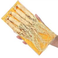 Racine de Ginseng Séchée 100% Naturelle Sans Soufre Certifiée GMP Vente en Gros en Vrac Origine Anhui pour Extrait de Plantes Mondial Ren Shen