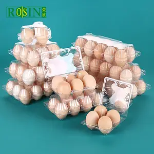 Bandeja de huevos de diferentes agujeros, embalaje de concha de almeja, transparente, embalaje de plástico