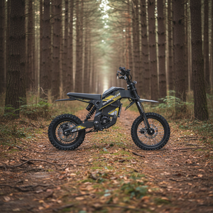 Nouveau modèle de <span class=keywords><strong>moto</strong></span> électrique tout-terrain puissante 48V 3000W G1, disponible en stock entrepôt US - Product Image 3